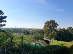 Záhrada s chatkou a inžinierskymi sieťami, Košice – Krásna, Ul. 1. mája