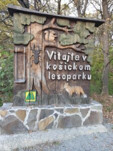4 izbový byt, 3.posch., lodžia, sídl. Darg. Hrdinov (Furča)